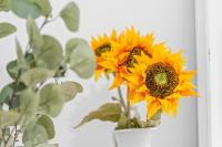 Plán poschodí v ubytovaní Sunflower Avenida