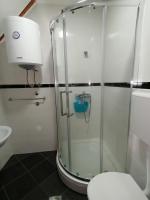 a bathroom with a shower with a toilet and a sink at Gondola 22 in Kopaonik