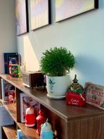 Fotografie z fotogalerie ubytování The Cosy Inn Hanoi v Hanoji