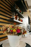 Φαγητό σε αυτό το ξενοδοχείο ή κάπου εκεί κοντά