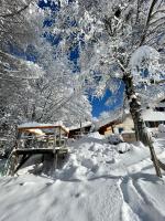 Jungholz Chalet 65 v zime