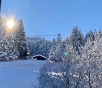 Ferienwohnung Haus am Bach in Toggenburg v zimě