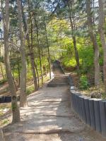 別荘の近くで見られる自然の景観