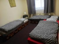 Postel nebo postele na pokoji v ubytování Apartmány Elisabeth