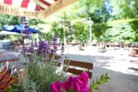 a bunch of purple flowers sitting on a bench at Behringers Freizeit - und Tagungshotel in Gößweinstein