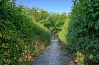 A garden outside Natasa Studios