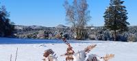 a snow covered field with trees and a snow covered ground at La ch&#39;tiote meizou in Mazet-Saint-Voy