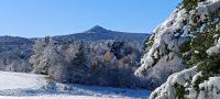 a snow covered forest with a mountain in the background at La ch&#39;tiote meizou in Mazet-Saint-Voy