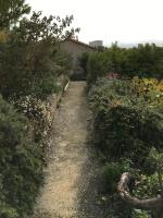 a dirt path with bushes and flowers in a garden at FLC-Sea View-Jacuzzi-3 Bedrooms-8p-Parking for 2 cars in Marseille