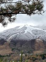a snow covered hill with trees on top of it at AOBA Hakuba self-contained home in Hakuba