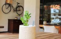 Фотография из галереи Barrydale Karoo - BOUTIQUE HOTEL в городе Барридейл