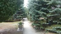 Ogród w obiekcie Lesní Hotel Peršlák