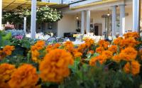 Zahrada ubytování Hotel Restaurant Bellevue au Lac