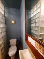 a bathroom with a toilet and a sink and a mirror at La Chambre Saint Jacques &amp; Rennes in Saint-Jacques-de-la-Lande