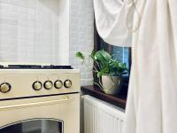 a kitchen with a stove and a window with a potted plant at Zentrum Vintage Appartments in Braşov