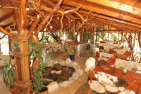 a large room with tables and chairs and trees at Castelul de Vis in Petroşani