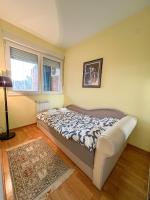 a bedroom with a bed and a rug and a window at Mega Lux Apartment in Vračar (historical)