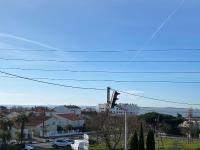 Plán poschodí v ubytovaní Charmant T2 à 350m de la plage avec terrasse et garage à Royan - FR-1-539-44