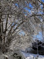 a tree covered in snow next to a building at Sonja´s Ferienwohnung in Patergassen