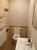 ein kleines Bad mit WC und Waschbecken in der Unterkunft Maison Boutxy Le Clos des Ours in Matemale