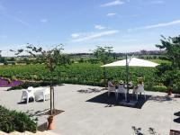 Mastinell Cava & Boutique Hotel by Olivia Hotels Collection ...