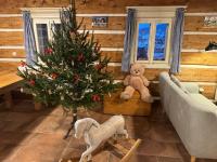 Posezení v ubytování Boutique Cottage Tkalcovna