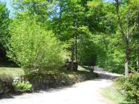 a dirt road with trees and a stone wall at Gîte Le Menil, 5 pièces, 5 personnes - FR-1-589-107 in Le Ménil