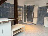 Koupelna v ubytování Apartmány Zahradní