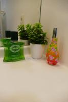 a green bottle of soap and plants on a shelf at Disneyland Paris, appartement 70m², parking privé in Serris
