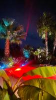 a group of palm trees at night with lights at Le Cocoon Lodge du Gapeau &amp; Massage in Solliès-Pont