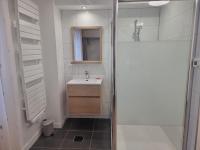 a small bathroom with a sink and a shower at Le Ruisseau à Bussang Htes Vosges tout confort in Bussang