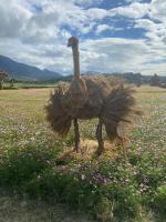 a statue of an ostrich in a field of flowers at 5 Loaves 2 Fish B&amp;B in Hualien City