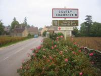 a street sign on a road with pink flowers at Maison Jean Léone in Gevrey-Chambertin