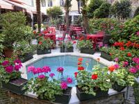 a garden with flowers in pots next to a swimming pool at Hotel Amadeus in Venice