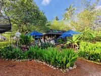 un restaurante con sombrillas azules en un jardín en The Willow Phangan, en Ko Pha Ngan