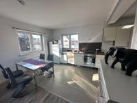 Kuchyň nebo kuchyňský kout v ubytování city apartment