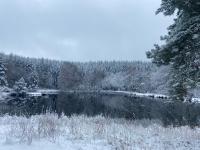 a pond with snow on the ground and trees at Morvan La Pastourelle in Quarré-les-Tombes