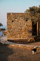 Domácí mazlíčci ubytovaní s hosty v ubytování Avdos' olive house - land tales