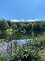 a view of a lake with trees in the background at Ancienne Auberge des Brizards - Morvan (14 personnes) in Quarré-les-Tombes