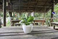 Zahrada ubytování Seasons Four Eco Friendly Cabana MATARA