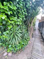 a wooden path in front of a large green bush at Appartement Le Lido de la Marana in Lucciana
