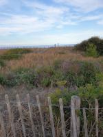 a fence in a field with the ocean in the background at Appartement Le Lido de la Marana in Lucciana