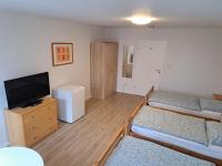 TV a/nebo společenská místnost v ubytování Apartmenthaus Hartl