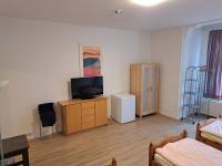 TV a/nebo společenská místnost v ubytování Apartmenthaus Hartl