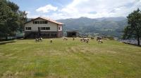 Príroda v okolí of the country house