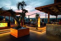 eine Palme in einer Pflanze auf einer Terrasse in der Unterkunft Sea Paradise Studio in Mamaia Nord – Năvodari