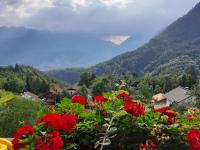 a view of a valley with red flowers and mountains at Landhaus Berthold in Bürserberg