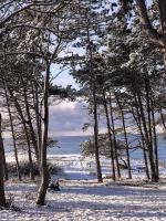 Půdorys ubytování Gilbjerg Strandhotel