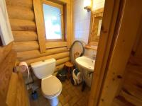 a small bathroom with a toilet and a sink at LE GRAND CERF Chalet en rondins avec SPA Jacuzzi in La Bresse