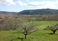 two trees in a field with a mountain in the background at Gîte Amour D&#39;ardèche in Saint-Sernin